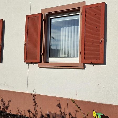 Schoene Wohnung In Worms Private Gastgeber ภายนอก รูปภาพ